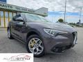 usato ALFA ROMEO Stelvio