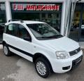 usato FIAT Panda