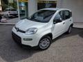 usato FIAT Panda