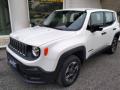 usato JEEP Renegade