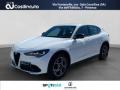 usato ALFA ROMEO Stelvio