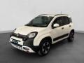 usato FIAT Panda Cross