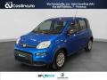 usato FIAT Panda