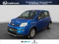 usato FIAT Panda
