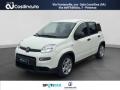 usato FIAT Panda
