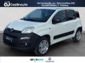 usato FIAT Panda