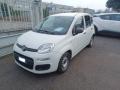 usato FIAT Panda