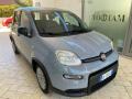 usato FIAT Panda