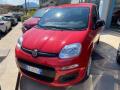 usato FIAT Panda