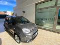 usato FIAT Panda