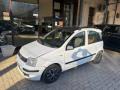 usato FIAT Panda