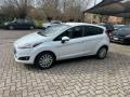 usato FORD Fiesta