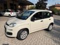 usato FIAT Panda