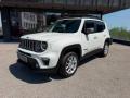 usato JEEP Renegade
