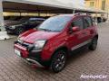 usato FIAT Panda Cross