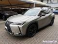usato LEXUS UX 250h