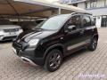 usato FIAT Panda Cross
