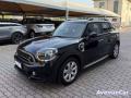 usato MINI Countryman
