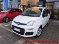 usato FIAT Panda