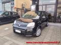 usato FIAT Panda