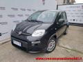 usato FIAT Panda