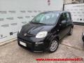 usato FIAT Panda
