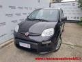 usato FIAT Panda