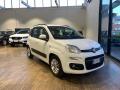  usato Fiat Panda (PKW)