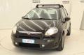  usato Fiat Punto