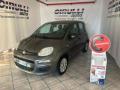 usato FIAT Panda