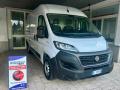 usato FIAT Ducato