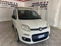 usato FIAT Panda