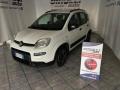 usato FIAT Panda