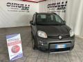 usato FIAT Panda