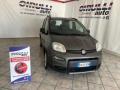 usato FIAT Panda