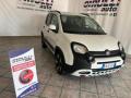 usato FIAT Panda Cross