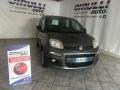 usato FIAT Panda