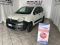usato FIAT Panda