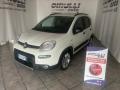 usato FIAT Panda
