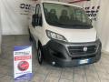 usato FIAT Ducato