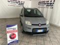 usato FIAT Panda