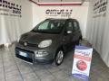 usato FIAT Panda