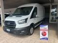 usato FORD Transit