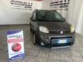 usato FIAT Panda