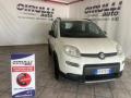 usato FIAT Panda
