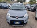 usato FIAT Panda