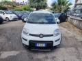 usato FIAT Panda