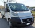 usato FIAT DUCATO CASSONE FISSO