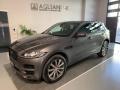 usato JAGUAR F Pace
