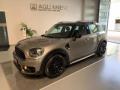 usato MINI Countryman